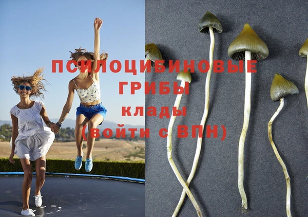 альфа пвп Верея