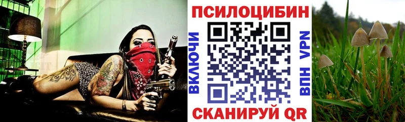 Псилоцибиновые грибы ЛСД  Лысково 